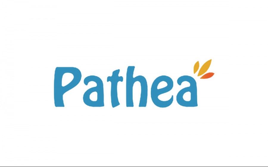 What is Pathea Games?