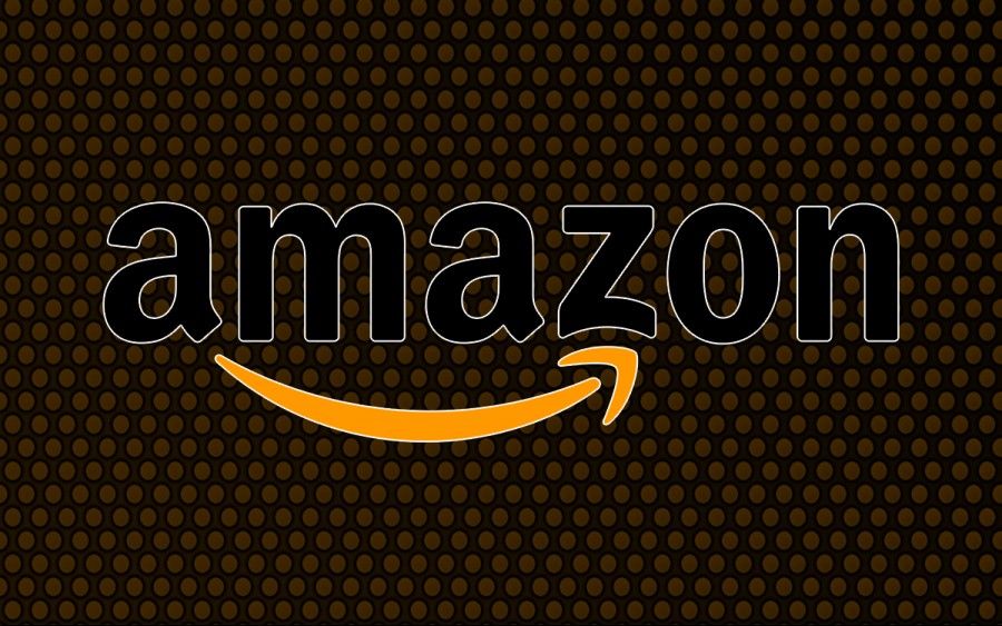 What is Amazon?