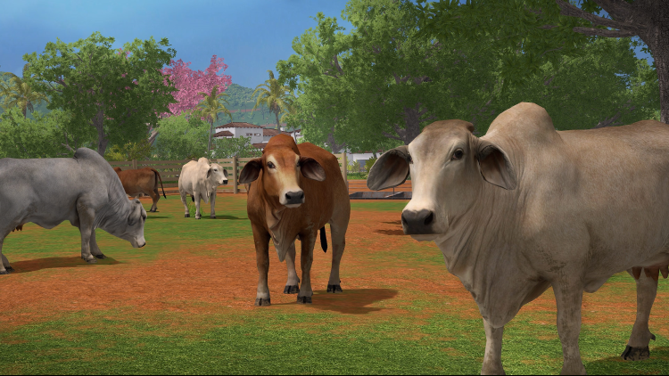 Farming Simulator 17 Platinum Edition (GIANTS Version)