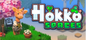 Hokko Spaces