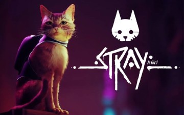 What is Stray?