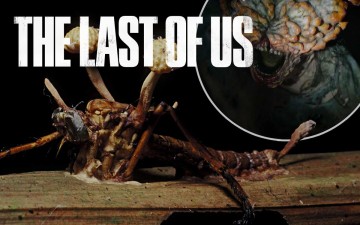 Creatures of The Last of Us Are Not Zombies