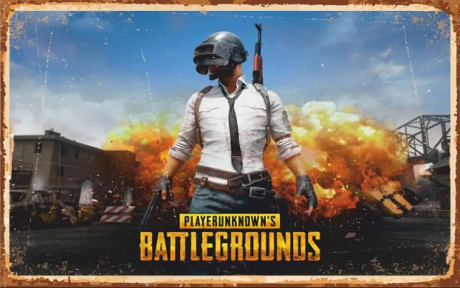 Pubg 2024 price pc