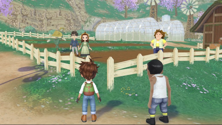 Story of Seasons: A Wonderful Life