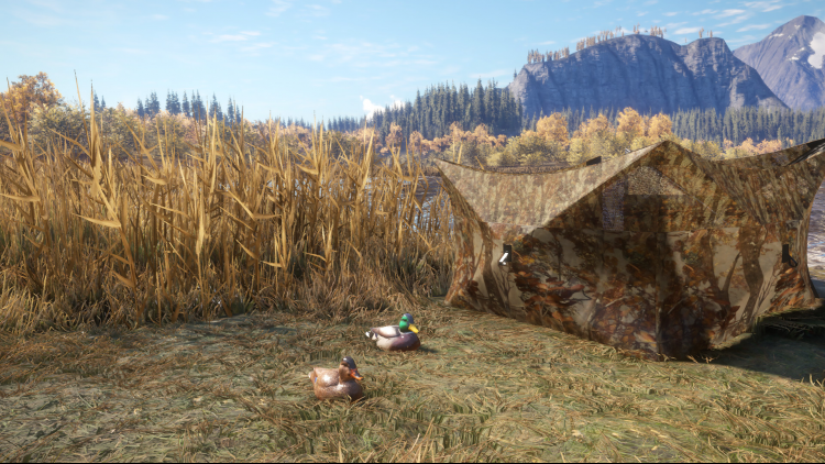 theHunter: Call of the Wild™ - Duck and Cover Pack