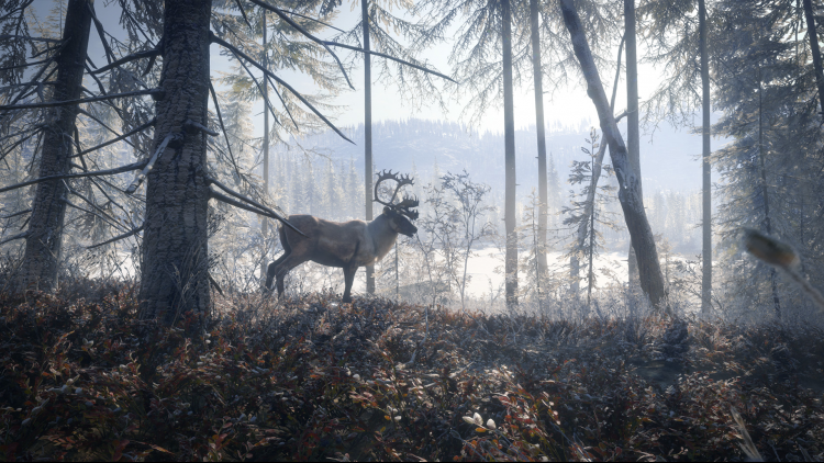 theHunter: Call of the Wild™ - Medved-Taiga
