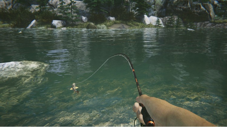 Ultimate Fishing Simulator 2 - Early Access