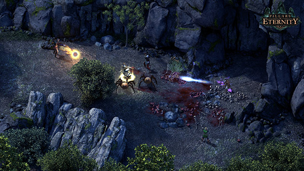 Pillars of Eternity'den oyun içi ekran görüntüsü.